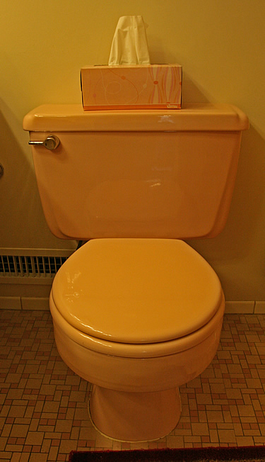 bathroom remodel toilet before